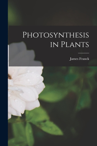 Photosynthesis in Plants