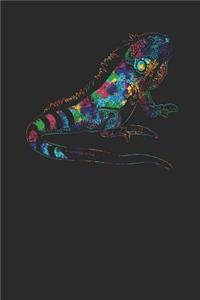 Iguana Colors