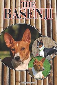 Basenji