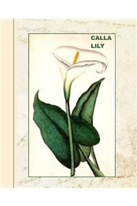 Vintage Calla Lily Flower