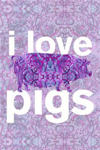 i love pigs