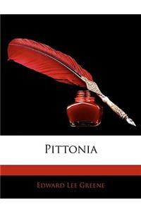 Pittonia