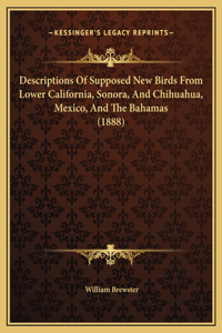 Descriptions Of Supposed New Birds From Lower California, Sonora, And Chihuahua, Mexico, And The Bahamas (1888)
