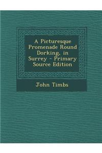A Picturesque Promenade Round Dorking, in Surrey