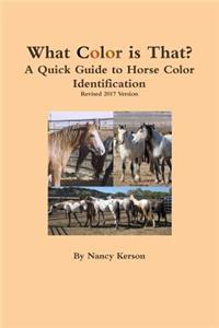 What Color is That? Quick Guide to Horse Color Identification