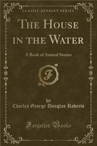 The House in the Water