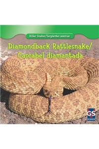 Diamondback Rattlesnake/Cascabel Diamantada