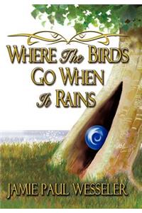 Where The Birds Go When It Rains