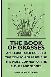 Book of Grasses - An Illustrated Guide to the Common Grasses, and the Most Common of the Rushes and Sedges
