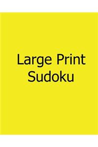 Large Print Sudoku