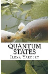 Quantum States