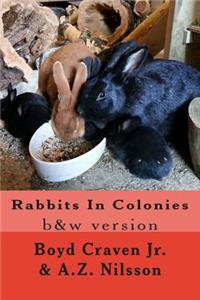 Rabbits In Colonies: Grayscale