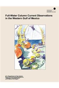 Full-Water Column Current Observations in the Western Gulf of Mexico
