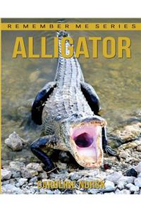 Alligator