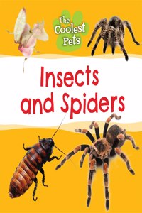 Insects and Spiders