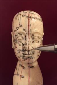 Acupuncture Meridian Points Journal