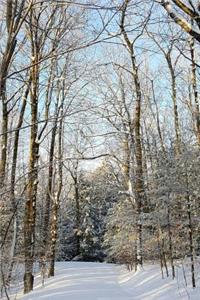 Sunlight Shadows Winter Weather Journal