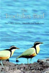Trochilus Bird