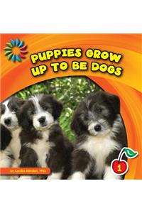 Puppies Grow Up to Be Dogs