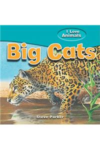 Big Cats