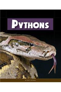 Pythons