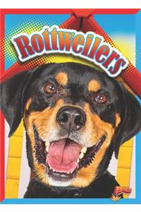 Rottweilers