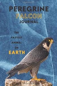 Peregrine falcon journal &Notebook 6