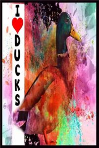 i love ducks