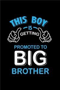 This Boy is Getting Promoted to Big Brother