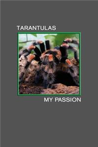 Tarantulas My Passion
