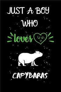 Just A Boy Who Loves Capybaras