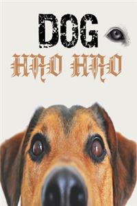 journal dog hao hao