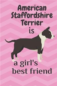 American Staffordshire Terrier is a girl's best friend