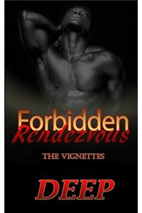 Forbidden Rendezvous
