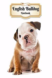 English Bulldog Notebook