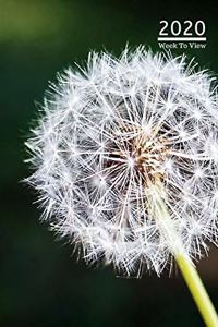 A5 2020 Diary Week To View Paperback Cover With Alternative Design -