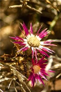 Dried Flowers in the Garden Journal