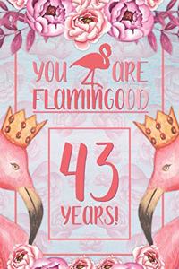 43rd Birthday Journal