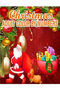 Christmas Adult Color By Numbers