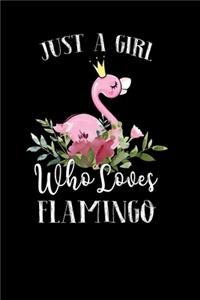 Just a Girl Who Loves Flamingo