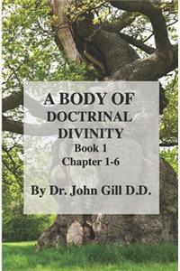 A Body Of Doctinal Divinity Book 1 Chapter 1-6