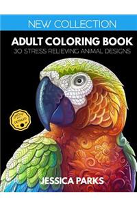 Adult Coloring Book