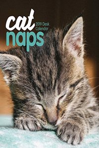CAT NAPS EASEL 2019