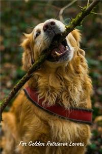 For Golden Retriever Lovers