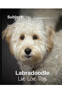 Labradoodle - Live Love Dogs!