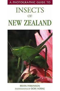 Photographic Guide To Insects Of New Zealand