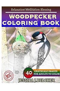 Woodpecker Coloring Book for Adults Relaxation Meditation Blessing: Sketches Coloring Book 40 Grayscale Images