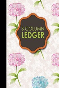 3 Column Ledger