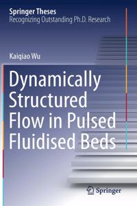 Dynamically Structured Flow in Pulsed Fluidised Beds