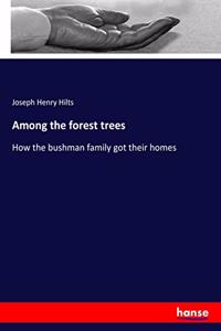 Among the forest trees: How the bushman family got their homes